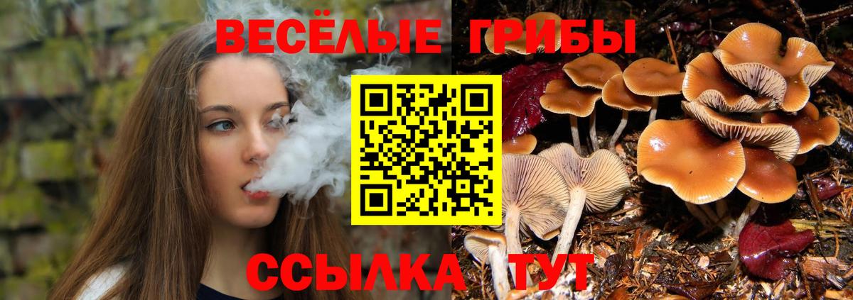 Псилоцибиновые грибы GOLDEN TEACHER  Псилоцибиновые грибы мицелий  Вход с VPN  Новочеркасск 